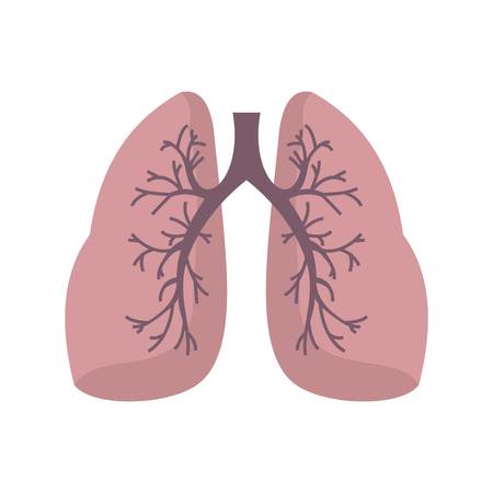 Lungs icon, flat styleのイラスト素材