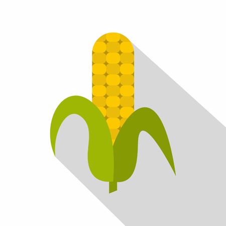Ripe corncob icon, flat styleのイラスト素材