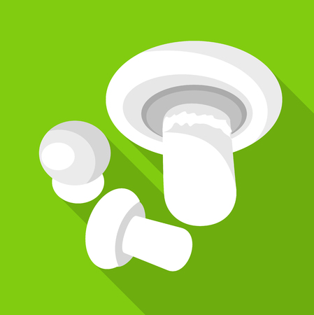 Champignon icon. Flat illustration of champignon vector icon for webのイラスト素材