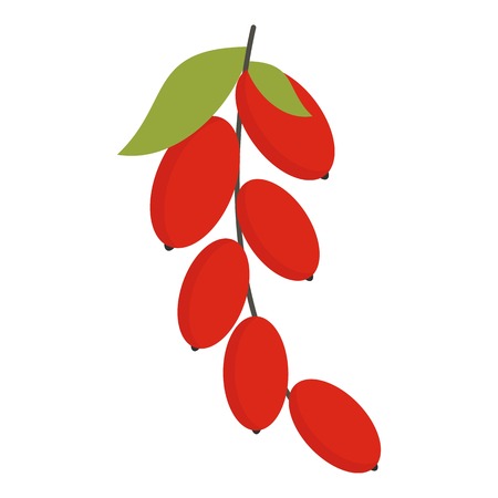 Red berries of cornel or dogwood icon flat isolated on white background vector illustration.のイラスト素材