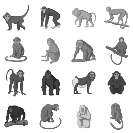 Different monkeys icons set monochromeのイラスト素材