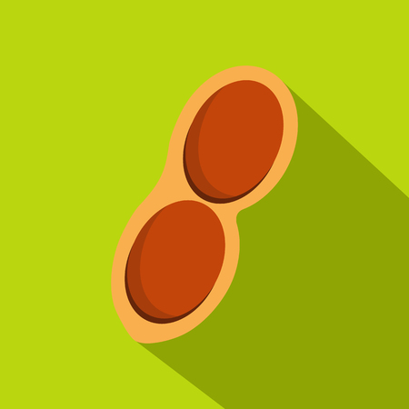 Peanut icon. Flat illustration of peanut vector icon for web on lime backgroundのイラスト素材