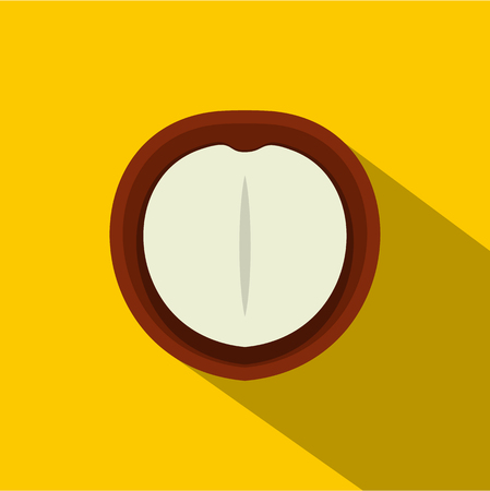 Macadamia nut icon, flat styleのイラスト素材