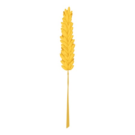 Rice stalk icon. Cartoon illustration of rice stalk vector icon for webのイラスト素材