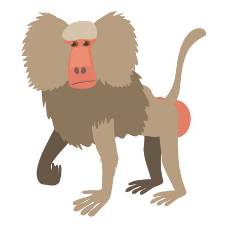 Baboon icon, cartoon styleのイラスト素材