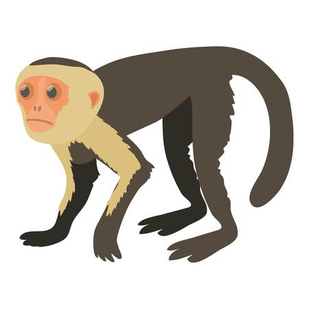 Capuchin icon, cartoon styleのイラスト素材
