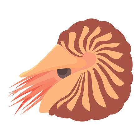 Clam icon. Cartoon illustration of clam vector icon for web isolated on white backgroundのイラスト素材