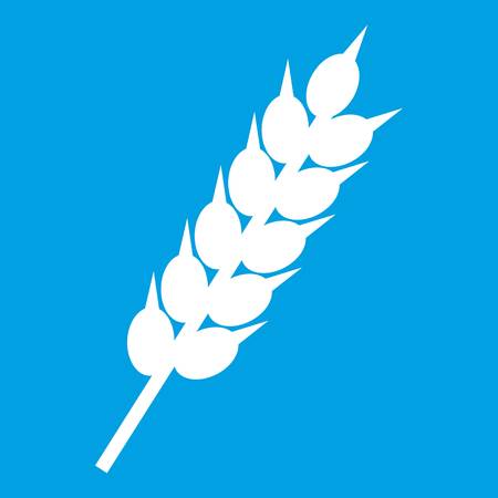 Dried wheat ear icon white isolated on blue background vector illustrationのイラスト素材