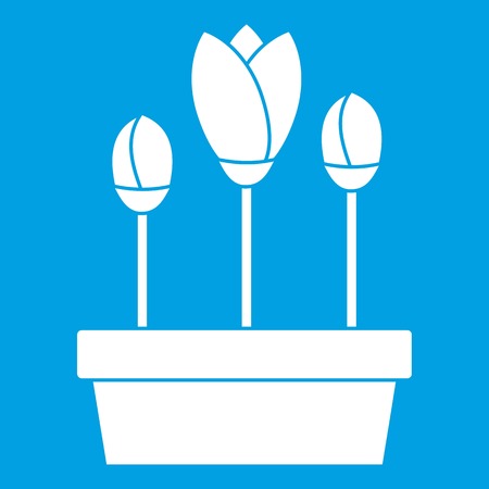 Tulips in box icon white isolated on blue background vector illustrationのイラスト素材