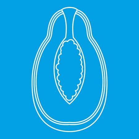 Half ripe papaya icon blue outline style isolated vector illustration. Thin line signのイラスト素材