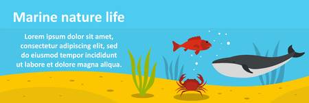 Marine nature life banner horizontal conceptのイラスト素材