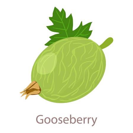 Gooseberry icon. Isometric illustration of gooseberry vector icon for webのイラスト素材