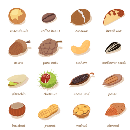 Nuts and seeds icons set, isometric styleのイラスト素材