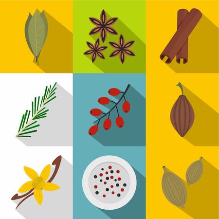 Eco spices and herbs icon set, flat styleのイラスト素材