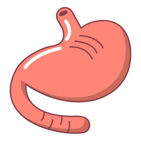 Stomach icon. Cartoon illustration of stomach vector icon for web design isolated on white backgroundのイラスト素材