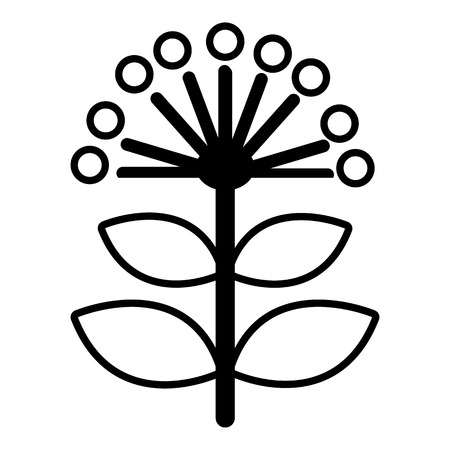 Honey plant icon. Outline illustration of honey plant vector icon for web design isolated on white backgroundのイラスト素材