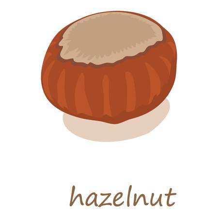 Hazelnut icon, isometric 3d styleのイラスト素材