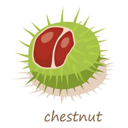 Chestnut icon, isometric 3d styleのイラスト素材