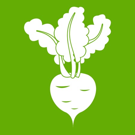 Fresh beetroot icon white isolated on green background. Vector illustrationのイラスト素材