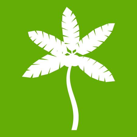 Palm tree with coconuts icon white isolated on green background. Vector illustrationのイラスト素材