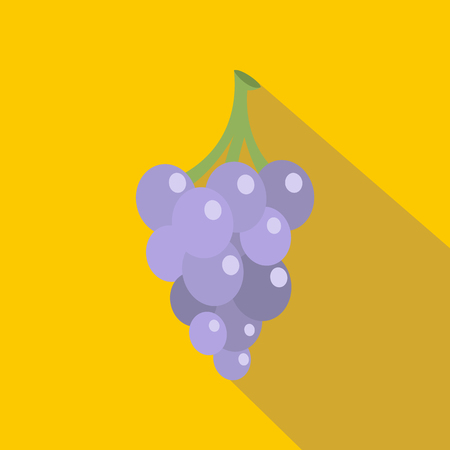 Grape icon. Flat illustration of grape vector icon for webのイラスト素材
