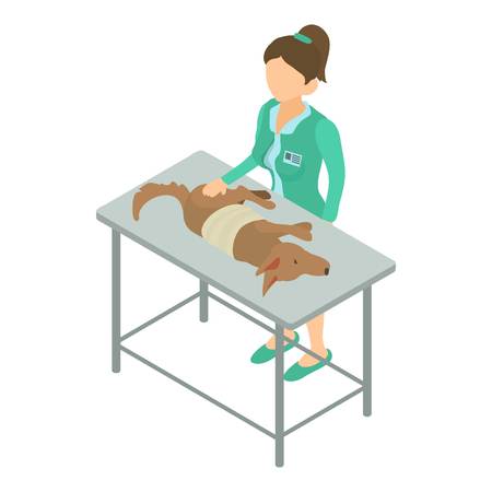 Veterinarian icon. Isometric illustration of veterinarian vector icon for webのイラスト素材