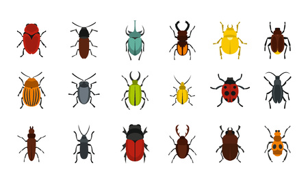 Bugs icon set. Flat set of bugs vector icons for web design isolated on white backgroundのイラスト素材