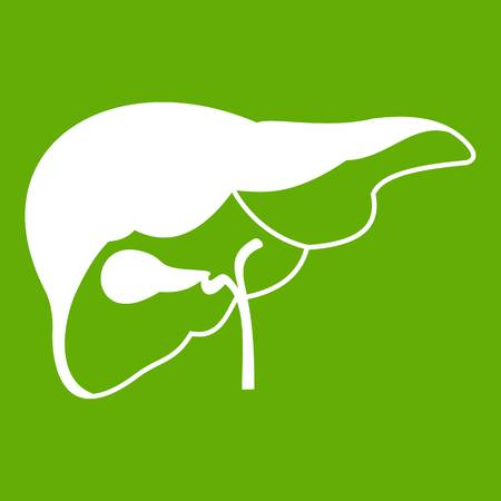 Liver icon on green background illustration.のイラスト素材