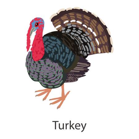 Turkey icon. Isometric illustration of turkey vector icon for webのイラスト素材