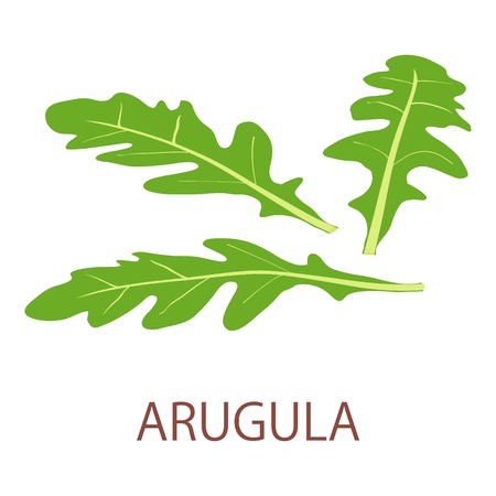 Arugula icon, isometric styleのイラスト素材