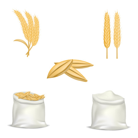 Barley wheat hops mockup set, realistic styleのイラスト素材