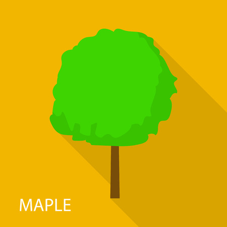 Maple tree icon, flat styleのイラスト素材