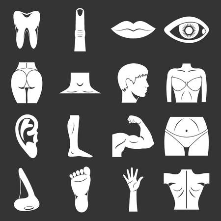 Body parts icons set grey vectorのイラスト素材