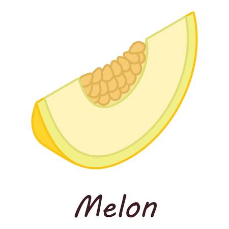 Melon icon. Isometric illustration of melon vector icon for webのイラスト素材