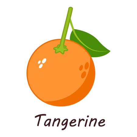 Tangerine icon. Isometric illustration of tangerine vector icon for webのイラスト素材