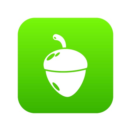 Acorn icon green vector isolated on white backgroundのイラスト素材