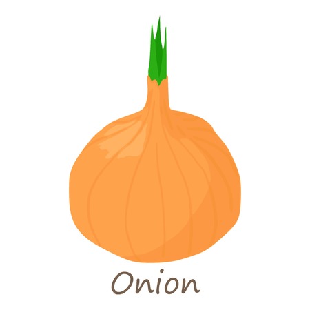 Onion icon. Isometric of onion vector icon for web design isolated on white backgroundのイラスト素材