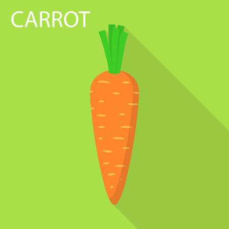Carrot icon. Flat illustration of carrot vector icon for web designのイラスト素材