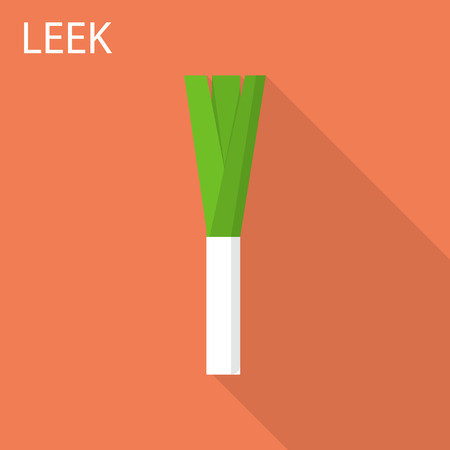 Leek icon. Flat illustration of leek vector icon for web designのイラスト素材