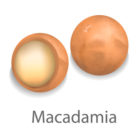 Macadamia mockup, realistic styleのイラスト素材