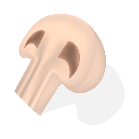 Cut champignon mockup, realistic styleのイラスト素材