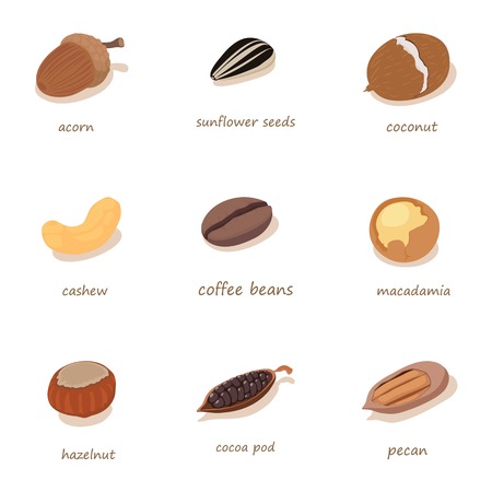 Hazel icons set, cartoon styleのイラスト素材