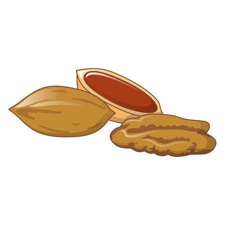 Pecans icon, cartoon styleのイラスト素材