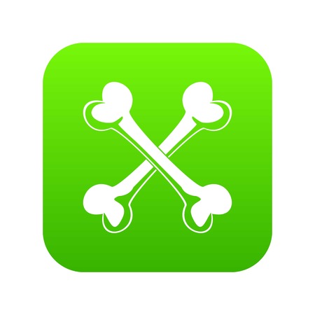 Bone icon green vectorのイラスト素材