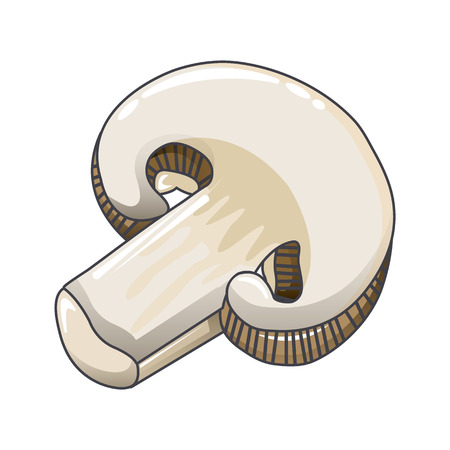 Cutted champignon icon, cartoon styleのイラスト素材