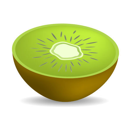 Half of fresh kiwi mockup. Realistic illustration of half of fresh kiwi vector mockup for web design isolated on white backgroundのイラスト素材