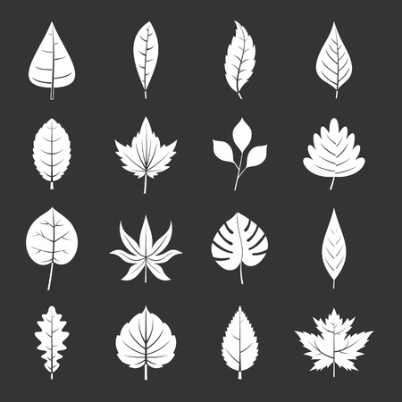 Plant leafs icons set white isolated on grey backgroundの写真素材