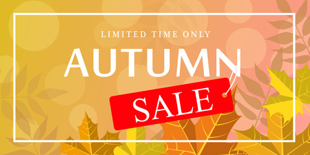 Limited time autumn sale banner horizontal. Flat illustration of vector limited time autumn sale banner horizontal for web designのイラスト素材