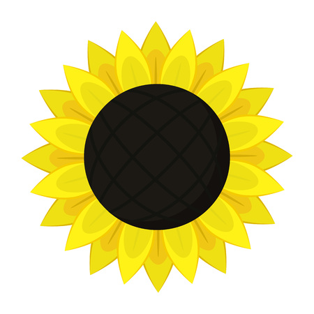 Sunflower icon. Flat illustration of sunflower vector icon for web designのイラスト素材