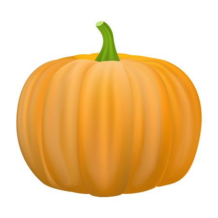 Pumpkin icon. Realistic illustration of pumpkin vector icon for web design isolated on white backgroundのイラスト素材
